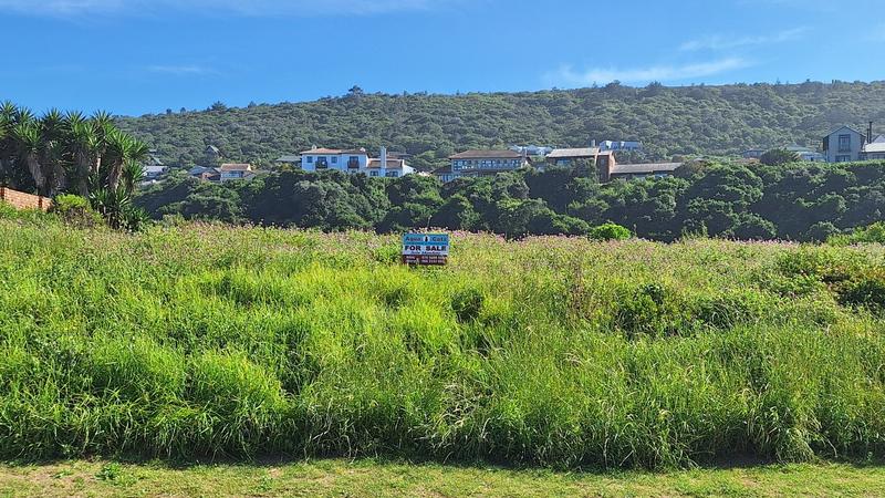 0 Bedroom Property for Sale in Outeniqua Strand Western Cape